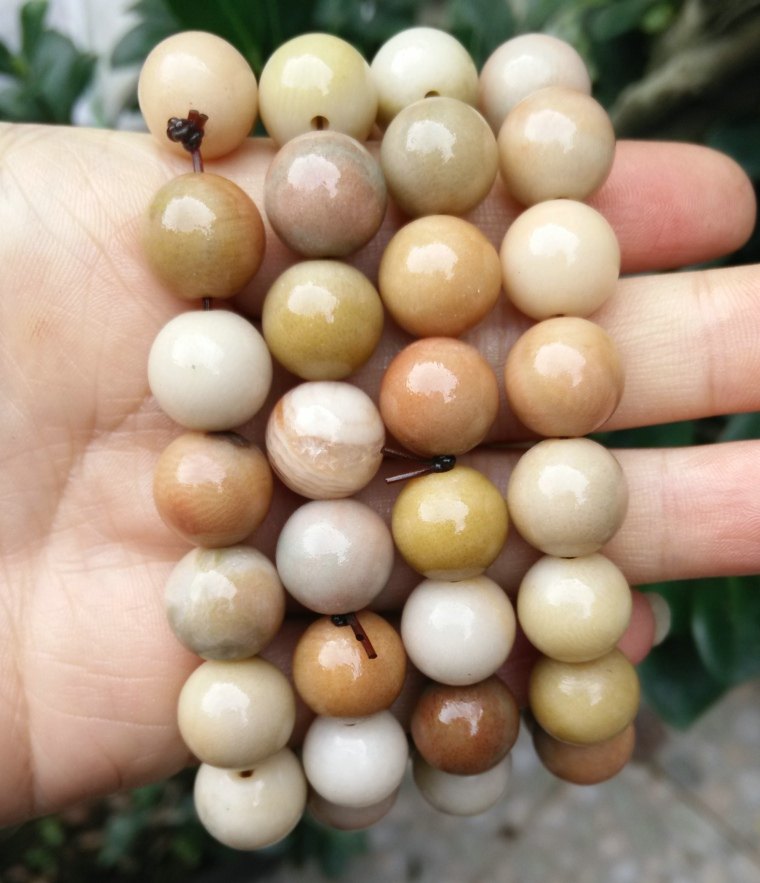 Ning Qiang Coral Jade Specimen Fossil Beads Handstring Foechu Hand Refining Diameter 1 1 cm 18 Low Price Processing