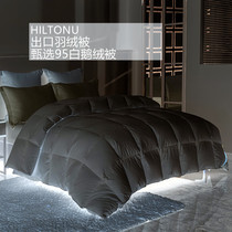 Export five-star hotel duvet 95 White Goose Down 6 8 10kg quilt core quilt winter thickened warm winter