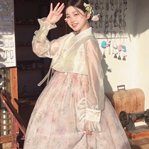 Han uniforms the new Korean Costume Womens High-end Genuine Yanji Network Red Photographed Palace Gown Everyday Play of the Superfairy