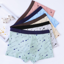 Red Bean Teen Pants Mens Hair Growth Period Summer Flat Corner Junior High School High School Students 13 Year Old Boy