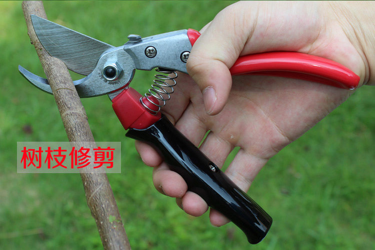 小枝剪图片,推剪图片,剪头图片(第16页)_大山谷图库