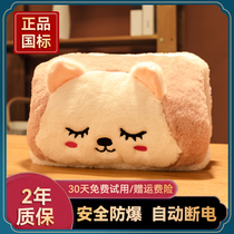 Hot Water Bag Charged Explosion Proof Warm Water Bag Safety Cartoon Cute Removable Wash Woman Warm Hand Treasure Hot Treasure Electric Warm Baby