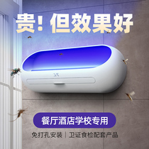 Mosquito Killer Lamp Restaurant Hotel With Booby-trapped Sticky kitchen Fly Lamp Shop With Hanging Wall Mosquito-fly God