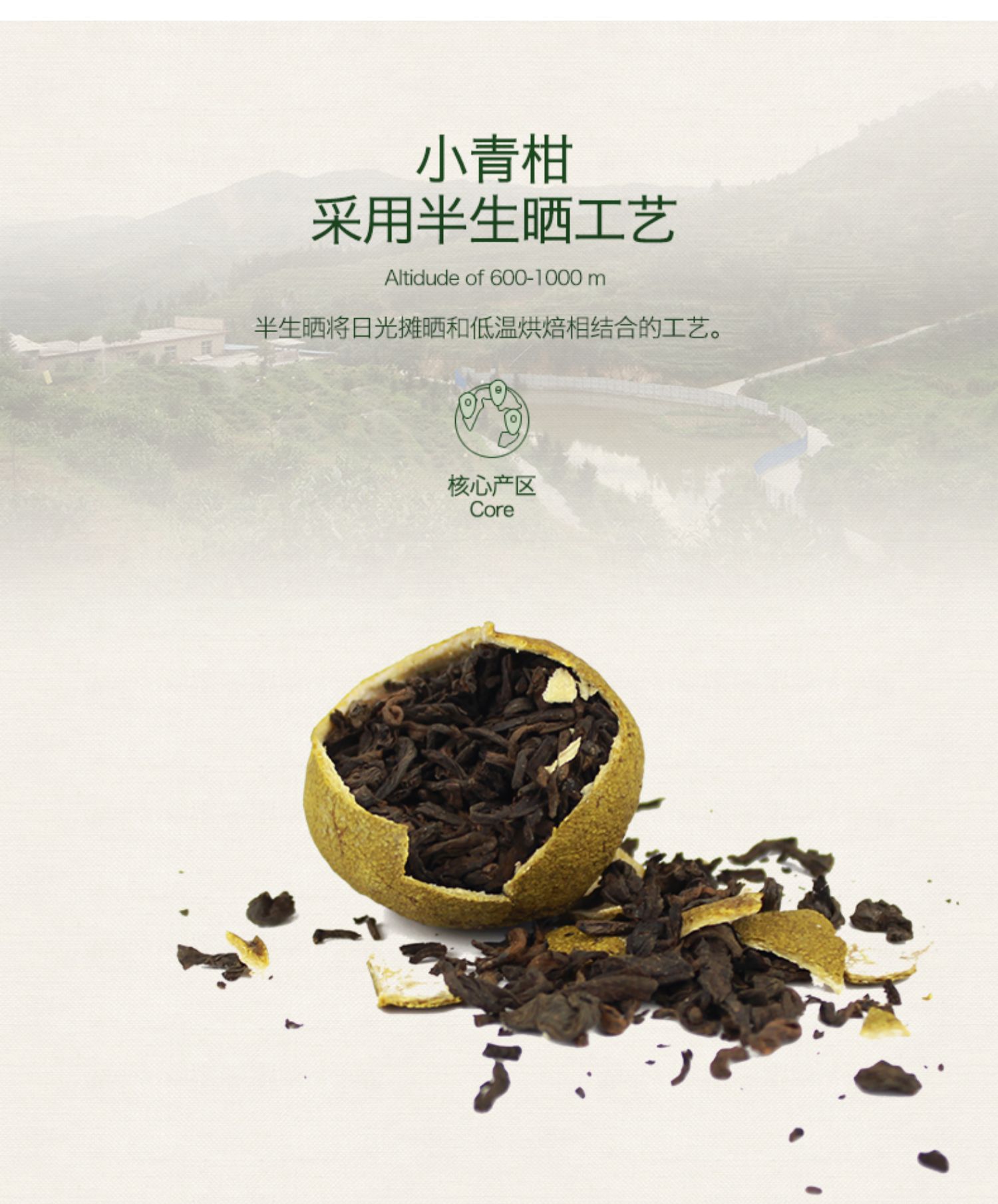 【12颗】绿芳小青柑普洱新会陈皮茶