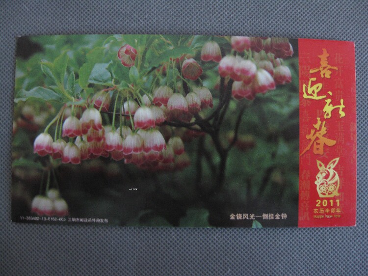 Corporate Golden Card Postcard Postcard Collection: Flowers to hang up Admiralty