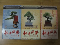 Corporate Golden Card Postcard Postcard Collection: Fushou Heminiatures Bonsai Pine
