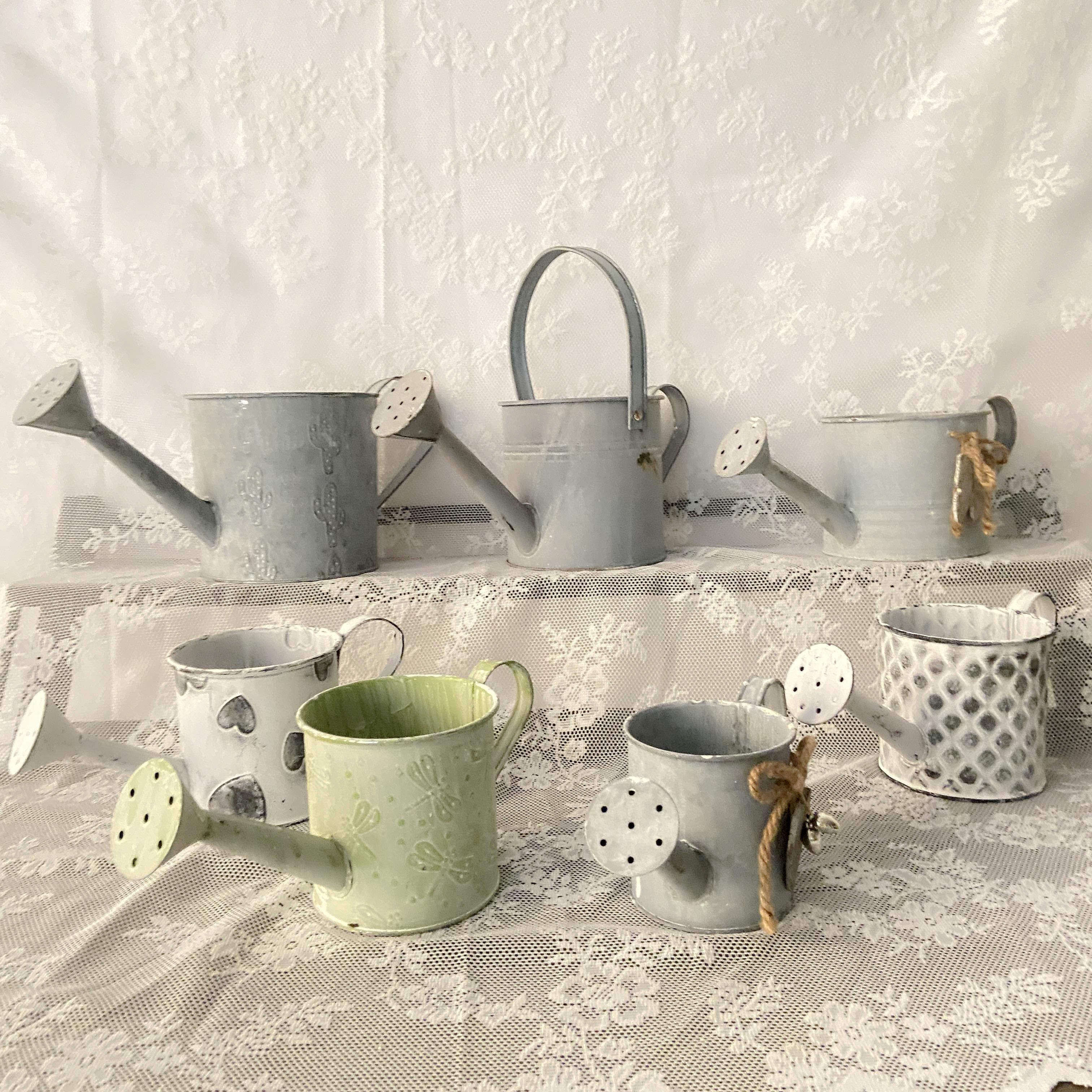 Eurostyle Fields Garden Retro Iron Art Relief Printed Sprinkler Pot Gardening Flower Shop Flowers Bucket Multi-Meat Plant Watering Pot Bottle-Taobao