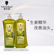 Schwaffen shampoo with water ginger net clear shampoo 600ml repo the scalp clear and refreshing control oil deep cleaning