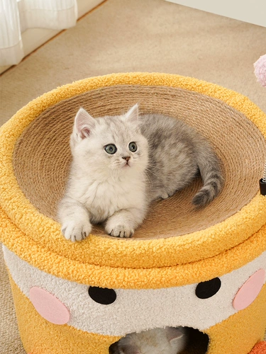Кошка скалолазание ковша кошка гнездо кот