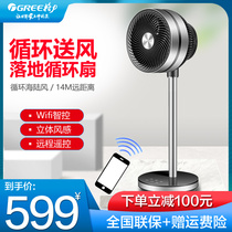 Gree home remote control floor fan variable frequency turbine convection fan Air circulation fan timing electric fan Desktop