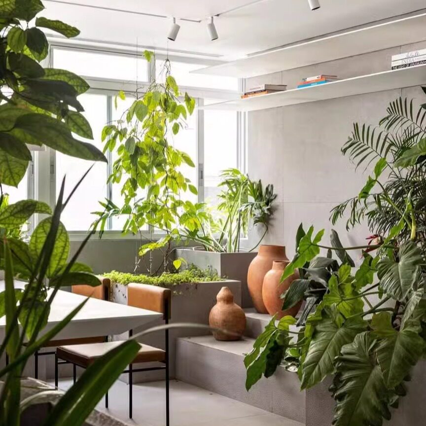 PlantPlant企业店
