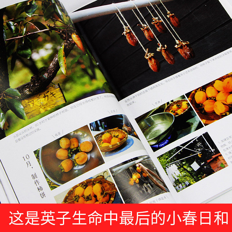 人生果實紀錄片電影永遠的小春日和之人生無悔日津端英子津端修一人生無悔任何時候都不要放棄自己日本無悔人生勵志心靈脩養書籍