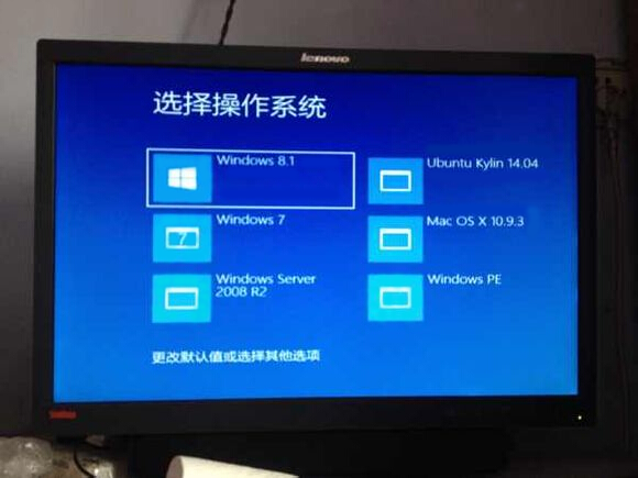 Installation of a dual system