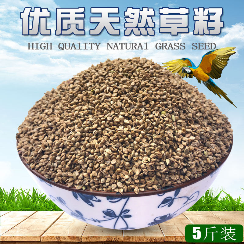 5 pounds high in the pearl bird protein of the bird pearl bird in the dazzling bird