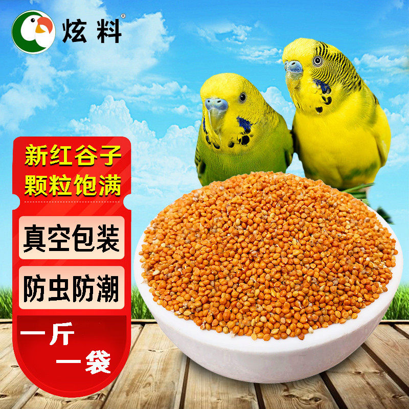 Dazzling Cockatoo Grain Red Barn Peony peony Xuan Pangfeng tiger leather grain jade bird food and bird food feed a 500 gr vacuum