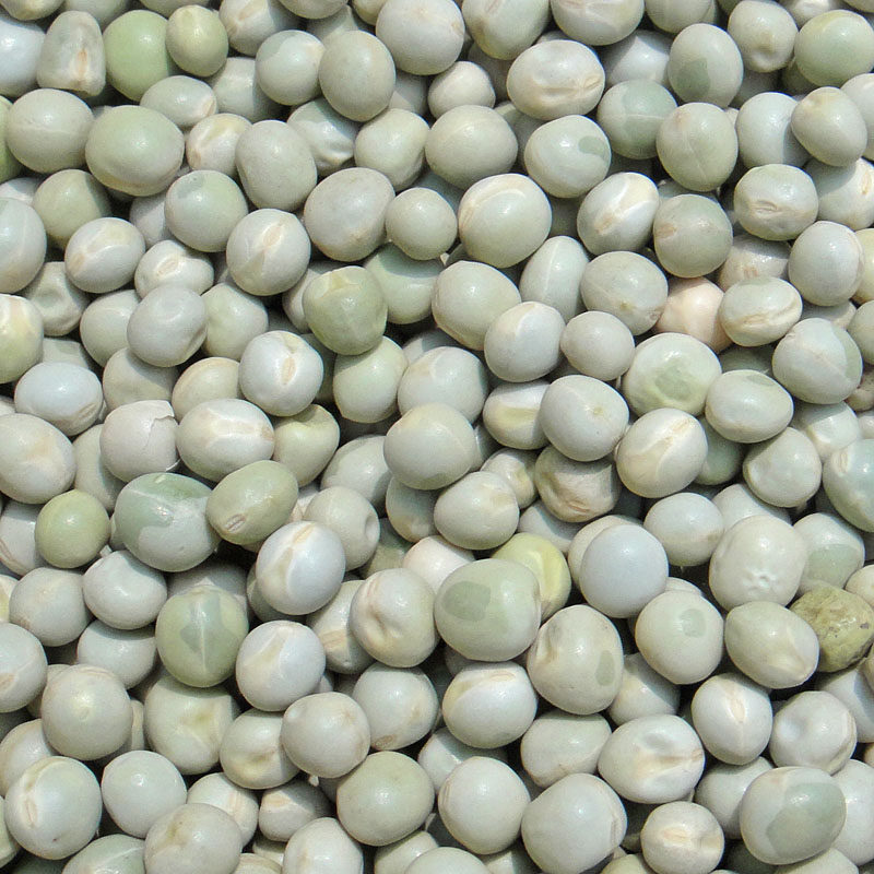 New pigeon food Pigeon feed Carrier pigeon feed Pigeon food Turtledove food shelled green peas a piece of 500 grams 5 pounds