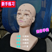 Beauty salon head model practice head with acupressure massage model head technique Learn make-up face simulation head shape
