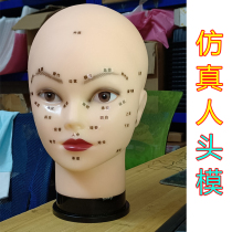 Simulation head model beauty salon dummy Scalp skin management Face printing acupuncture points high-grade model mold doll
