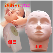 Beauty technique practice model head apprentice model Zero-based self-study Fake simulation human mold wearing mask display