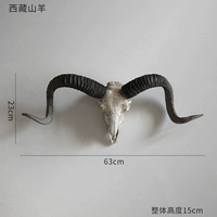 Тибетский коз