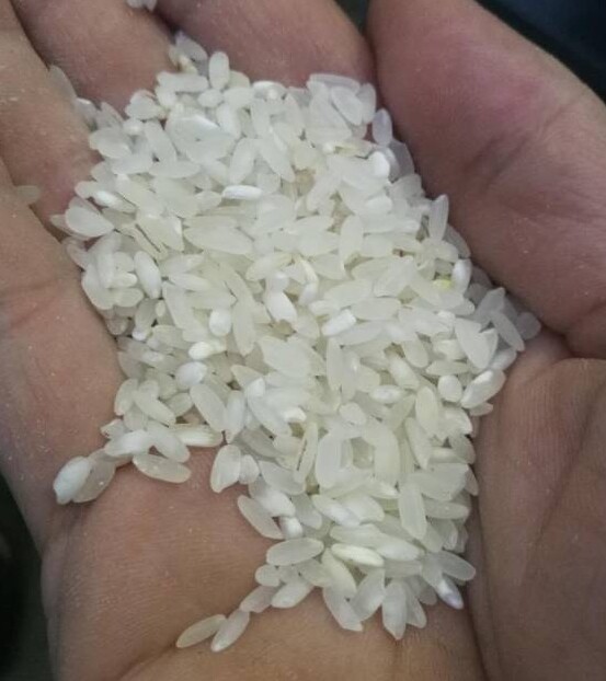 Guangdong stone ground sausage powder formula rice formula rice Xiaozhen Gui rice taste Q elastic and smooth five pounds trial package