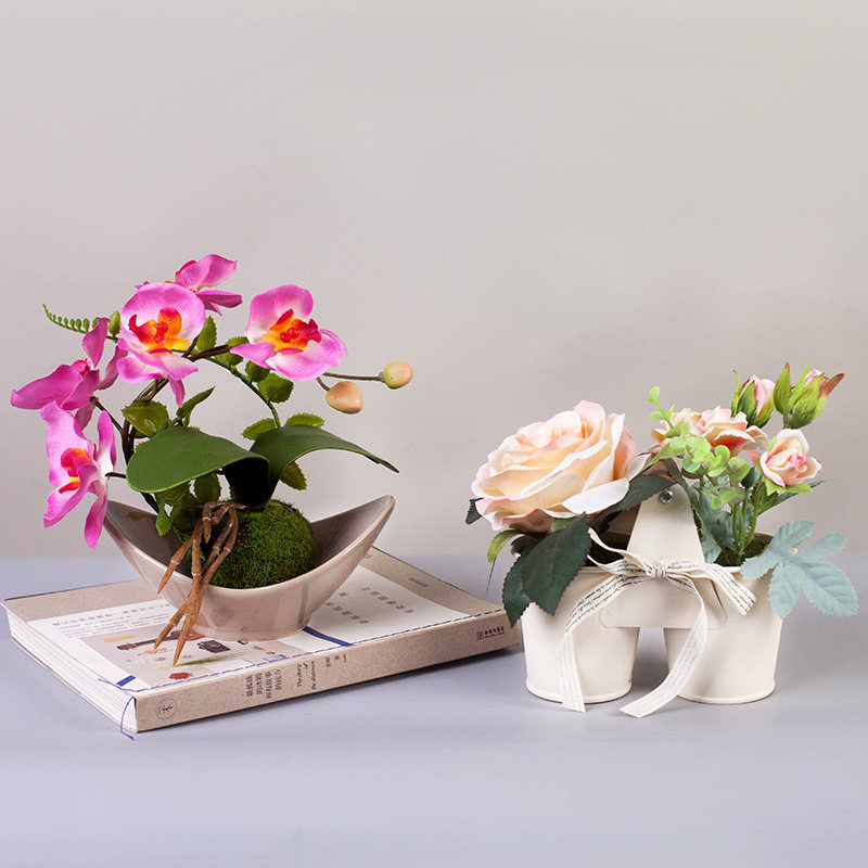 ���������������滨JA2017