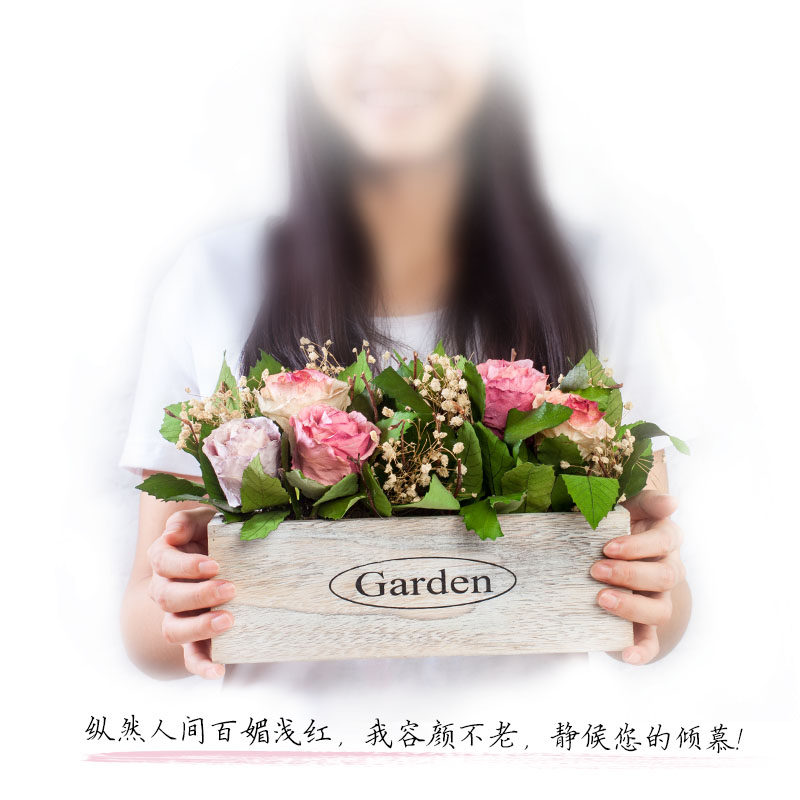 ����õ�廨�ڼ�yshxl