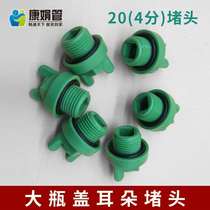 Kang Juan 4 points plugging cap copper new green 20 air conditioning pipe decoration to block dark leakage 01 large bottle cap ear plug