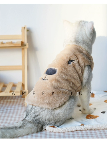 Мао -дюйский медвежь