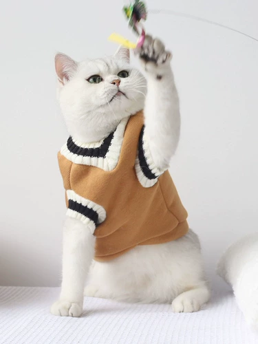 Флисовый демисезонный пуховик, трикотажный свитер, удерживающий тепло жилет, осенний сезон