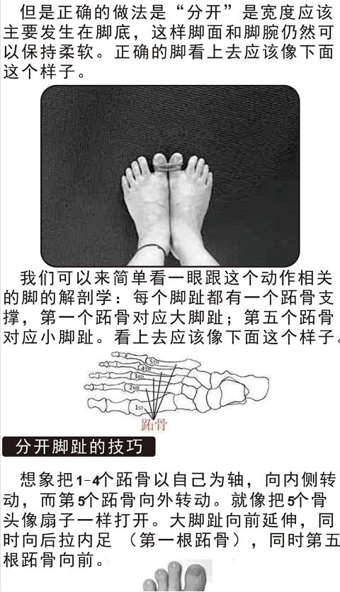 Yoga tách rời năm ngón chân Chỉnh hình ngón chân lớn Hallux Eversion Corrector Toe Overlap Toe Pad Hỗ trợ thảm yoga giá rẻ