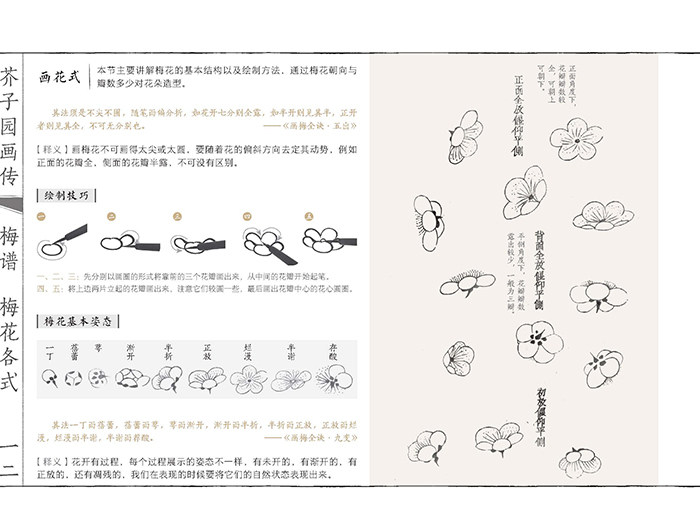 伝統的な中国スキル絵画デッサンアートブック梅の花蘭 竹 菊 Arts Photography Aliexpress