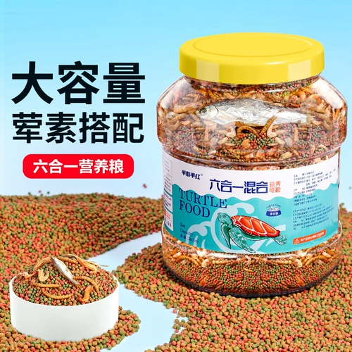 Черепаха кормить черепахой едой еда общая пища трава черепаха специальная сушена
