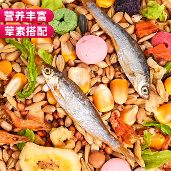 ອາຫານ hamster, ອາຫານໂພຊະນາການຂອງຫມີທອງ, ອາຫານເມັດພືດ, ອາຫານ hamster ສັດລ້ຽງ, ອາຫານຫນູ, ອາຫານປະຈໍາວັນ, ປາແລະກຸ້ງ.