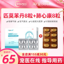 Pet Pooch Cardiology Lung Cardio Cardiac Hypertrophy Cat Heart Failure Cough morphine 5mg Health Care Medicine