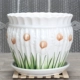 Bình trồng hoa chậu gốm lớn sáng tạo sân vườn rộng rãi trong nhà trang trí đất thủ công vườn rơi - Vase / Bồn hoa & Kệ