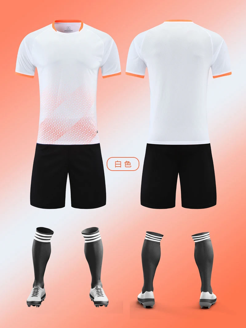 5027-5.webp