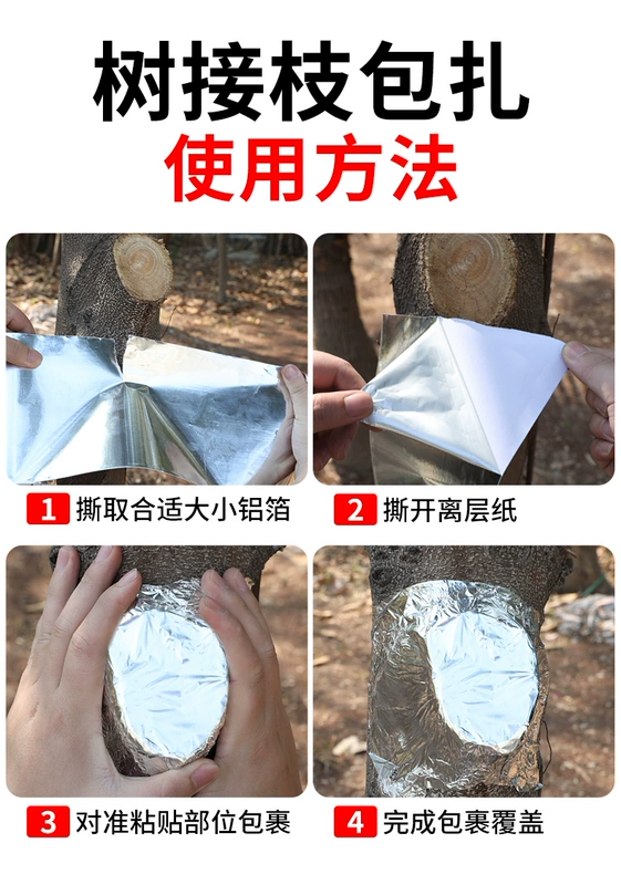 cây bonsai căng ghép quả cụ làm vườn lá cách lá vết thương băng hàn gắn vết thương để thúc đẩy sự phát triển của thực vật dày nhôm thiếc thuôn dài lá băng