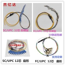 Fiber optic jumper single-mode 12-core SC ribbon pigtail bundle pigtail FC ribbon pigtail line ODF filament disc chassis