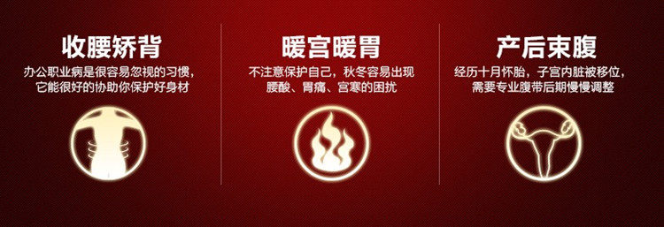 Corset luxueux - Ref 673240 Image 6