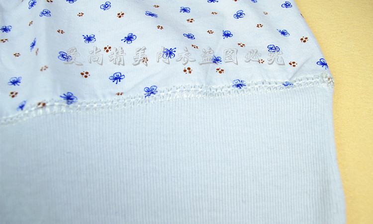 Nữ cotton vest trung niên tuổi cơ sở cotton đồ lót ông già cộng với phân bón để tăng lỏng sling mẹ áo