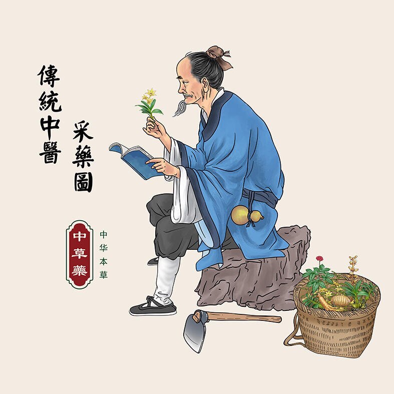保和堂医药健康