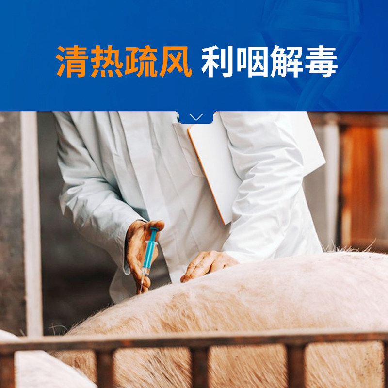 25年必买兽药|银黄提取物注射液抗病毒流感高热口蹄溃烂羊痘混感全解析-家养大动物药品-淘宝好物网