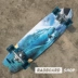 SwellTech SurfSkate Surf skateboard Longboard Surf Simulation Công việc Chữ ký RADboardshop - Trượt băng / Trượt / Thể thao mạo hiểm