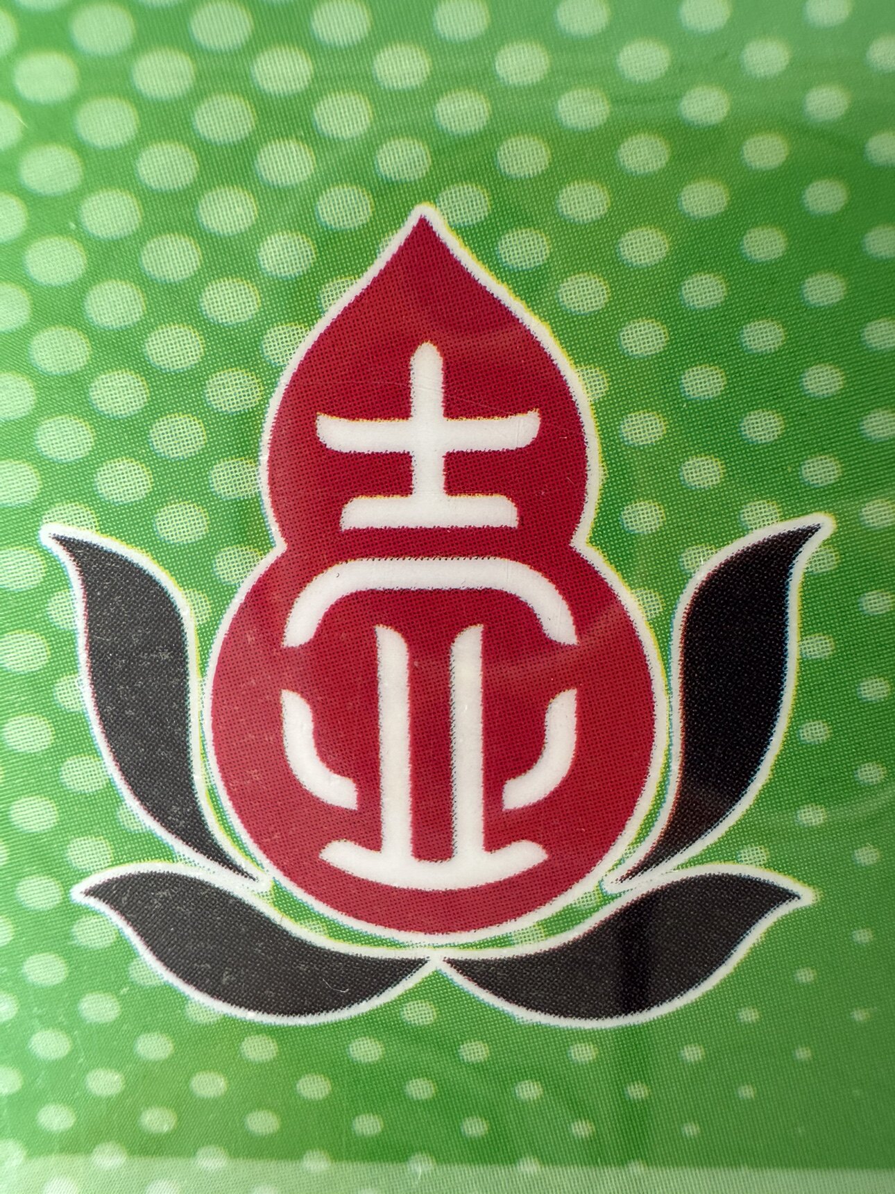 何氏中医中式调理9年老店的LOGO