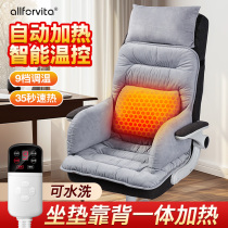 Heating Warm Cushion Office Waist Leaning Cushion Back Cushion Integrated Winter Fever Warm Able To Sit Down Fever 2433