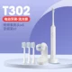 [Комбинация] T302 Streamer Silver В комплект входят 4 оригинальные насадки + подвеска.