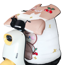 Electric car wind shield by gush thickened windproof winter waterproof and rain-proof electric bottle car sunscreen sunscreen warm 968