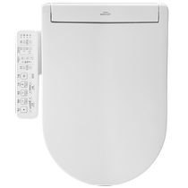 Instant hot D-type smart cover sterilization washlet electric toilet cover 33320 (03-A) (TOTO197)