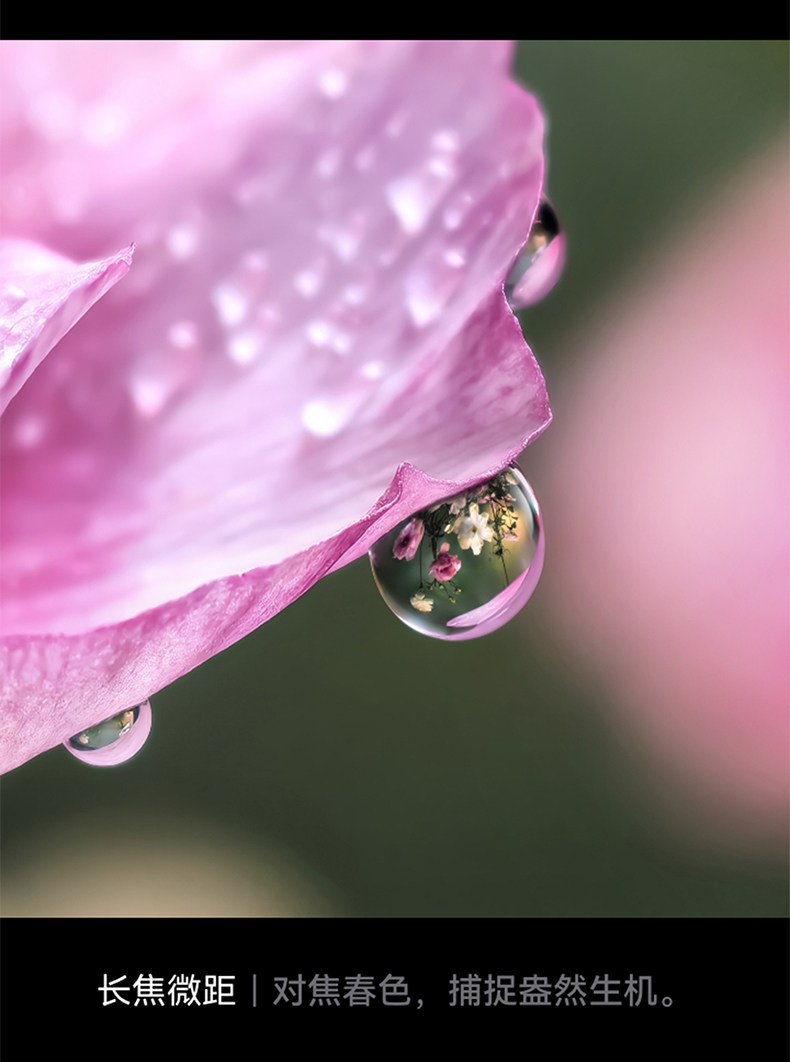 HUAWEI Pura X Max插图35